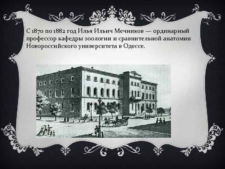 С 1870 по 1882 год Илья Ильич Мечников — ординарный профессор кафедры зоологии и