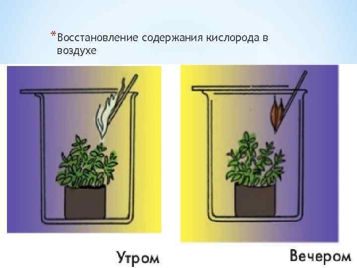 *Восстановление содержания кислорода в воздухе 