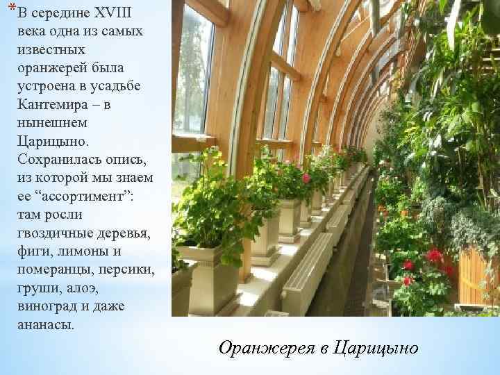 *В середине XVIII века одна из самых известных оранжерей была устроена в усадьбе Кантемира