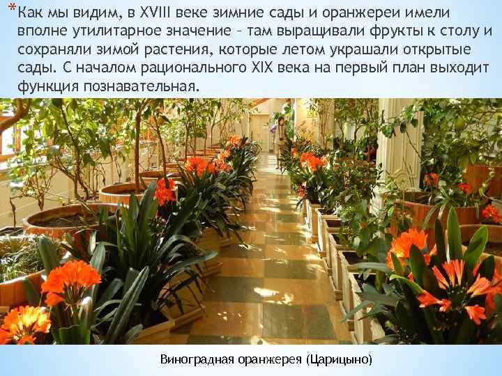 *Как мы видим, в XVIII веке зимние сады и оранжереи имели вполне утилитарное значение