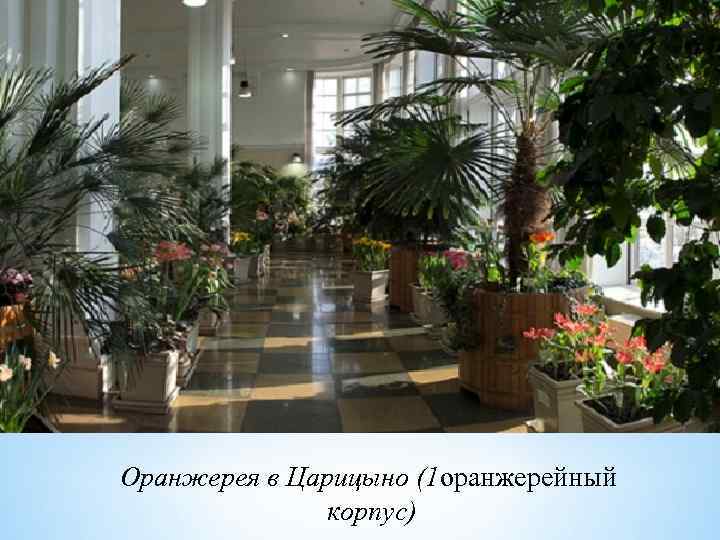 Оранжерея в Царицыно (1 оранжерейный корпус) 