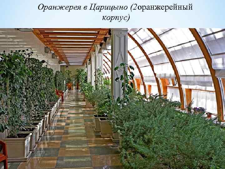 Оранжерея в Царицыно (2 оранжерейный корпус) 