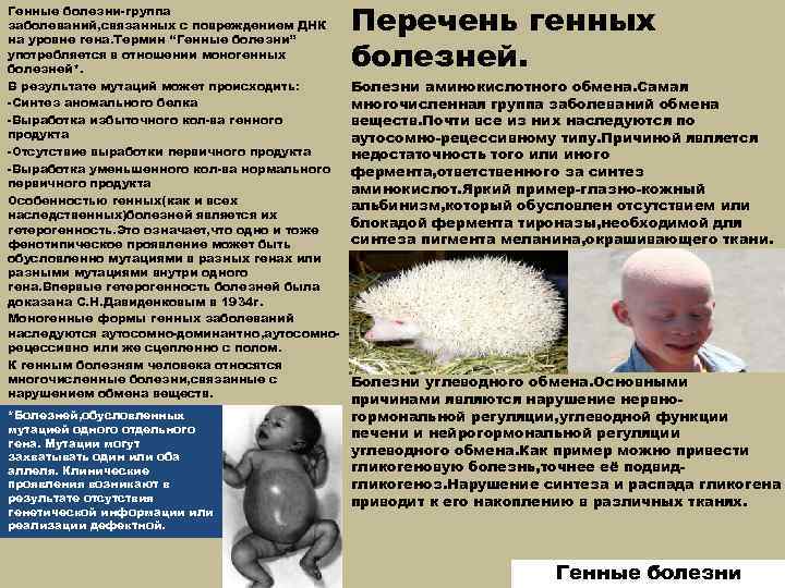 Генные болезни-группа заболеваний, связанных с повреждением ДНК на уровне гена. Термин “Генные болезни” употребляется