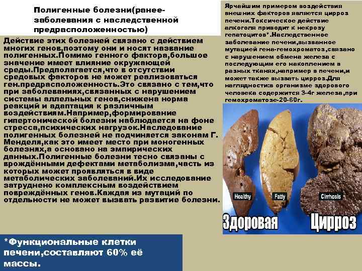 Полигенные болезни(ранеезаболевания с наследственной предрасположенностью) Действие этих болезней связано с действием многих генов, поэтому