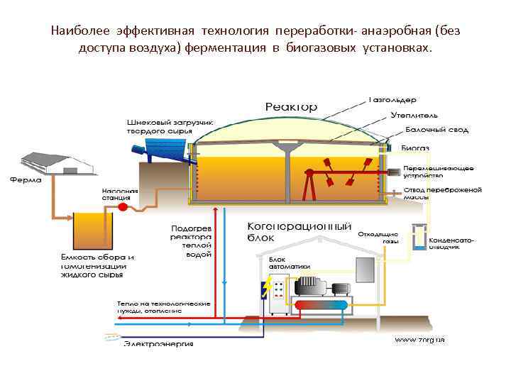 Наиболее эффективная технология переработки- анаэробная (без доступа воздуха) ферментация в биогазовых установках. 