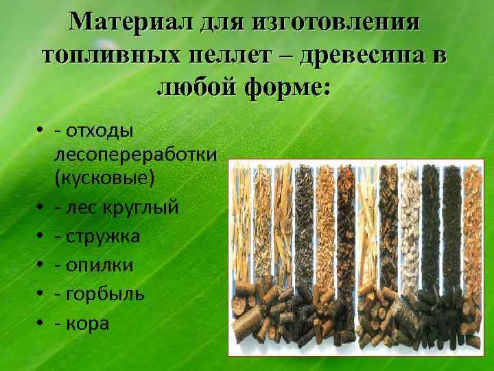 Материал для изготовления топливных пеллет – древесина в любой форме: • - отходы лесопереработки