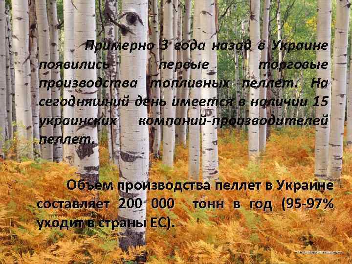 Примерно 3 года назад в Украине появились первые торговые производства топливных пеллет. На сегодняшний