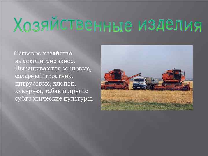 Сельское хозяйство высокоинтенсивное. Выращиваются зерновые, сахарный тростник, цитрусовые, хлопок, кукуруза, табак и другие субтропические