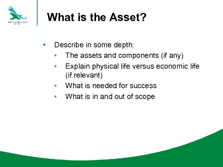 What is the Asset? • Describe in some depth: • The assets and components