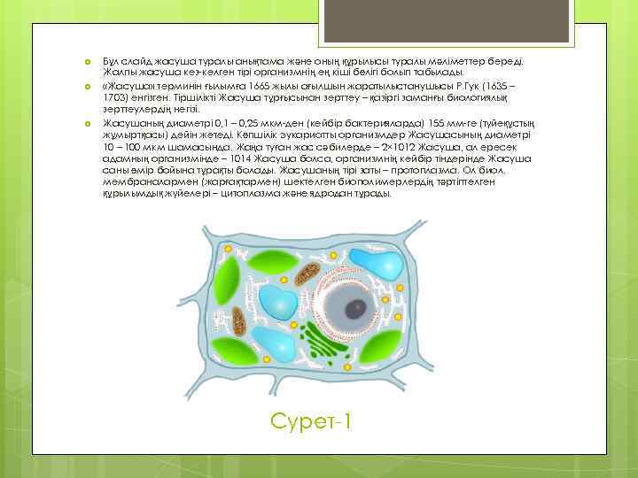  Бұл слайд жасуша туралы анықтама және оның құрылысы туралы мәліметтер береді. Жалпы жасуша