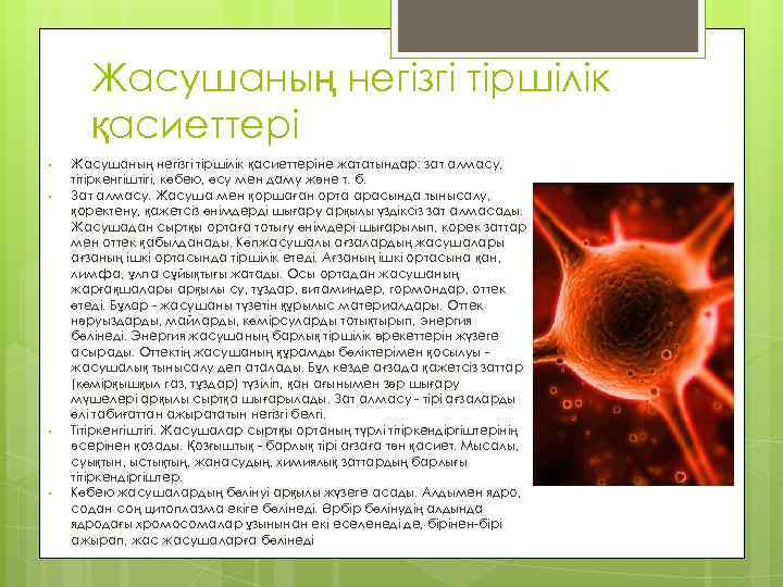 Жасушаның негізгі тіршілік қасиеттері • • Жасушаның негізгі тіршілік қасиеттеріне жататындар: зат алмасу, тітіркенгіштігі,
