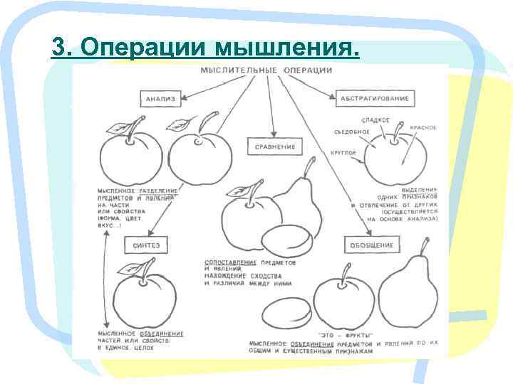 3. Операции мышления. 