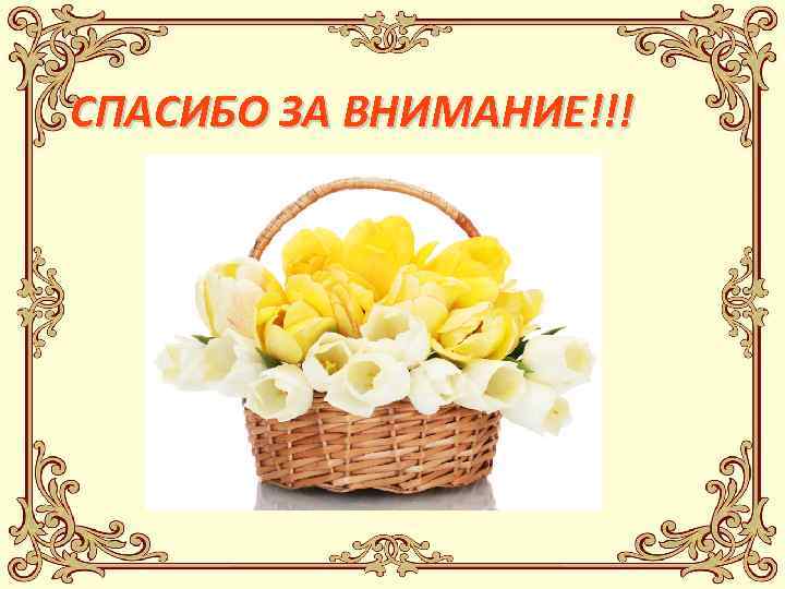 СПАСИБО ЗА ВНИМАНИЕ!!! 