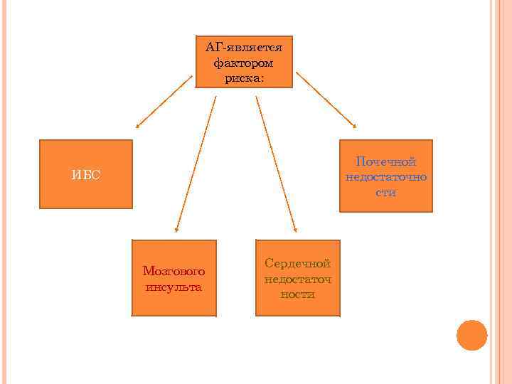 АГ-является фактором риска: Почечной недостаточно сти ИБС Мозгового инсульта Сердечной недостаточ ности 