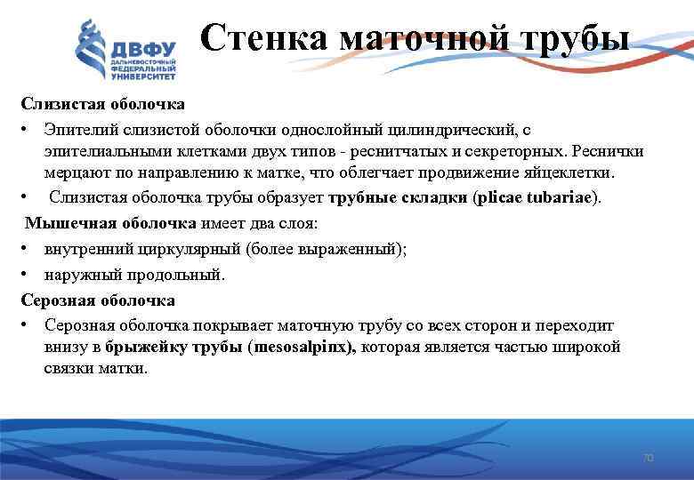 Стенка маточной трубы Слизистая оболочка • Эпителий слизистой оболочки однослойный цилиндрический, с эпителиальными клетками