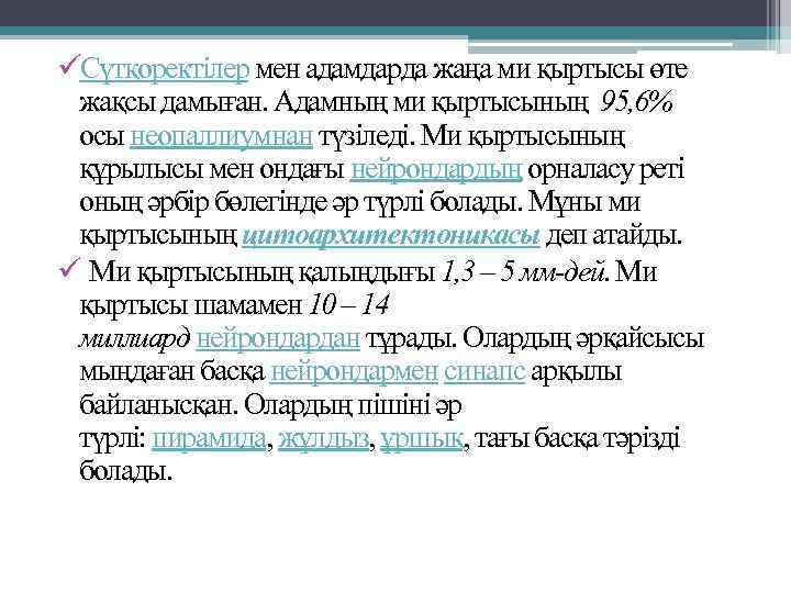 üСүтқоректілер мен адамдарда жаңа ми қыртысы өте жақсы дамыған. Адамның ми қыртысының 95, 6%