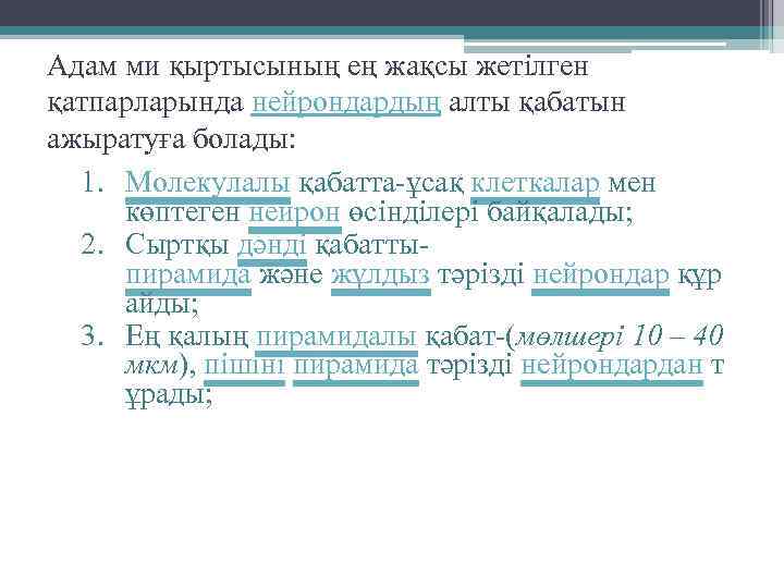 Адам ми қыртысының ең жақсы жетілген қатпарларында нейрондардың алты қабатын ажыратуға болады: 1. Молекулалы