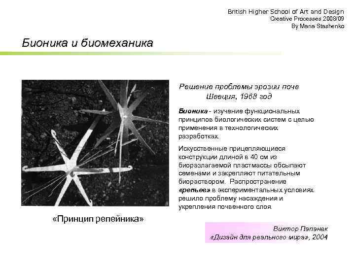 British Higher School of Art and Design Creative Processes 2008/09 By Maria Stashenko Бионика