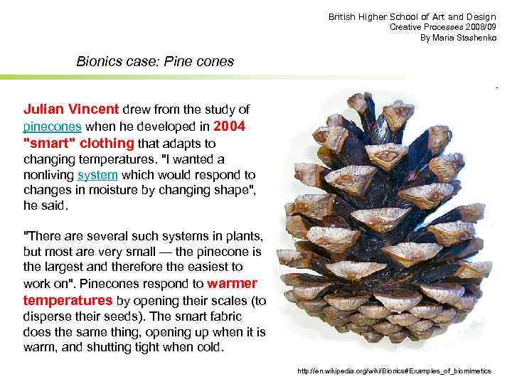 British Higher School of Art and Design Creative Processes 2008/09 By Maria Stashenko Bionics