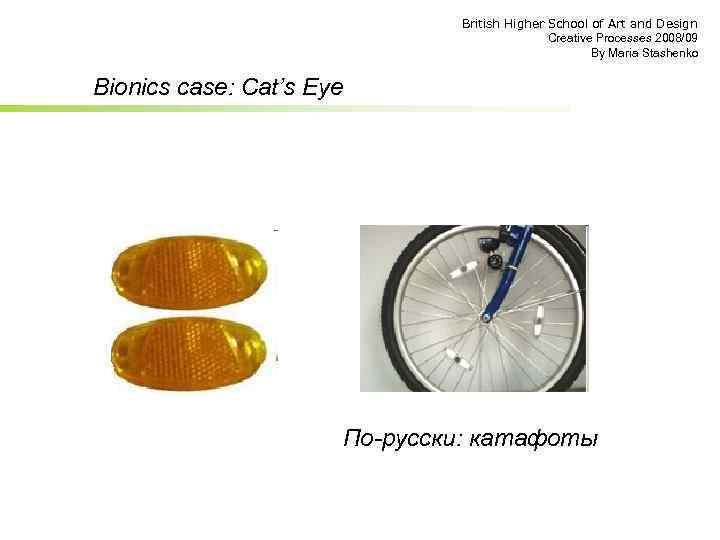 British Higher School of Art and Design Creative Processes 2008/09 By Maria Stashenko Bionics