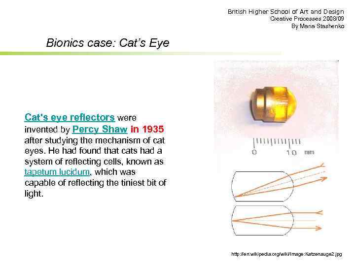 British Higher School of Art and Design Creative Processes 2008/09 By Maria Stashenko Bionics