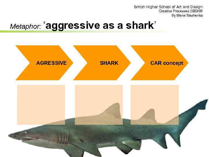 British Higher School of Art and Design Creative Processes 2008/09 By Maria Stashenko Metaphor: