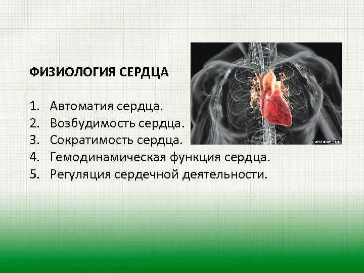 Работа сердца физиология