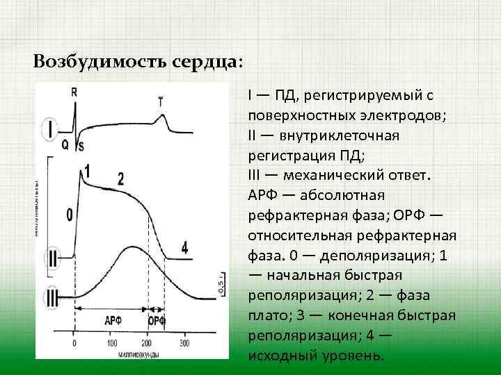 Проанализировав рисунок 2 объясните механизм автоматии сердца