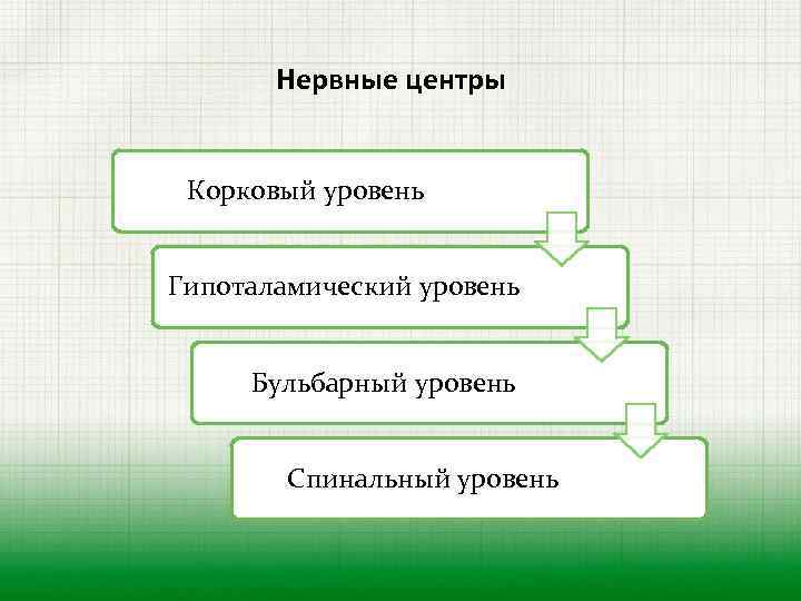 Нервные центры Корковый уровень Гипоталамический уровень Бульбарный уровень Спинальный уровень 