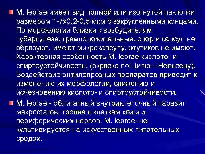 М. leprae имеет вид прямой или изогнутой па лочки размером 1 7 x 0,