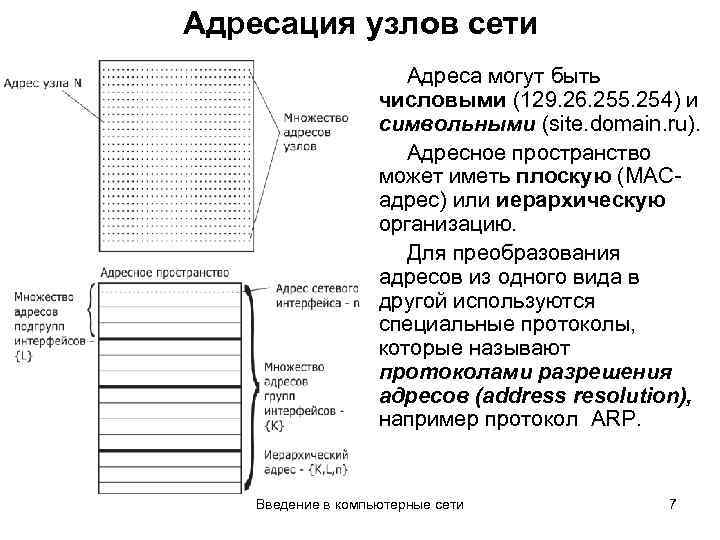 Адресация узлов сети Адреса могут быть числовыми (129. 26. 255. 254) и символьными (site.