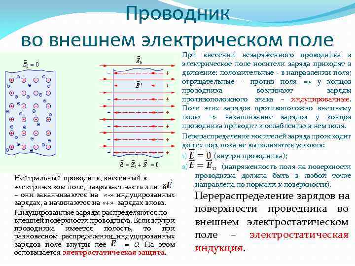 Проводник во внешнем электрическом поле Нейтральный проводник, внесенный в электрическом поле, разрывает часть линий