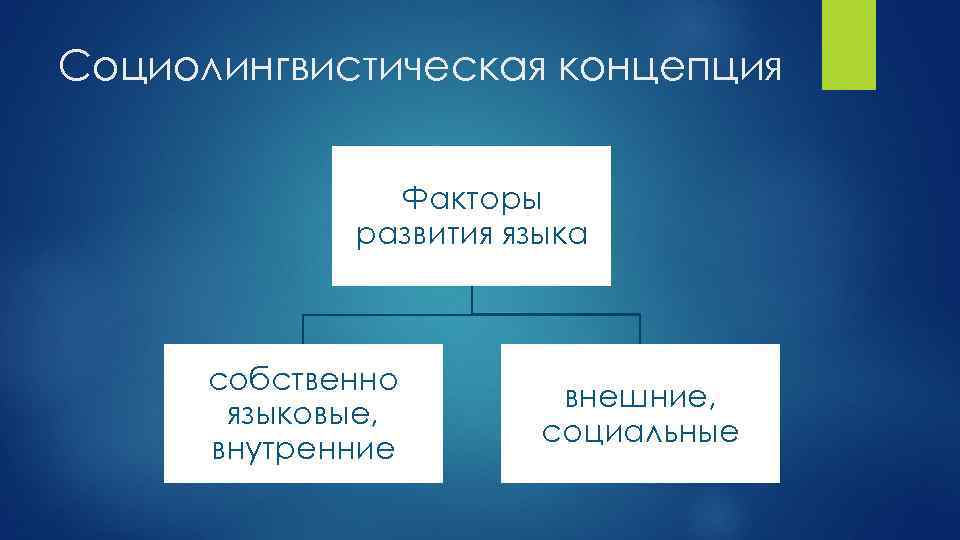 Социолингвистическая концепция Факторы развития языка собственно языковые, внутренние внешние, социальные 