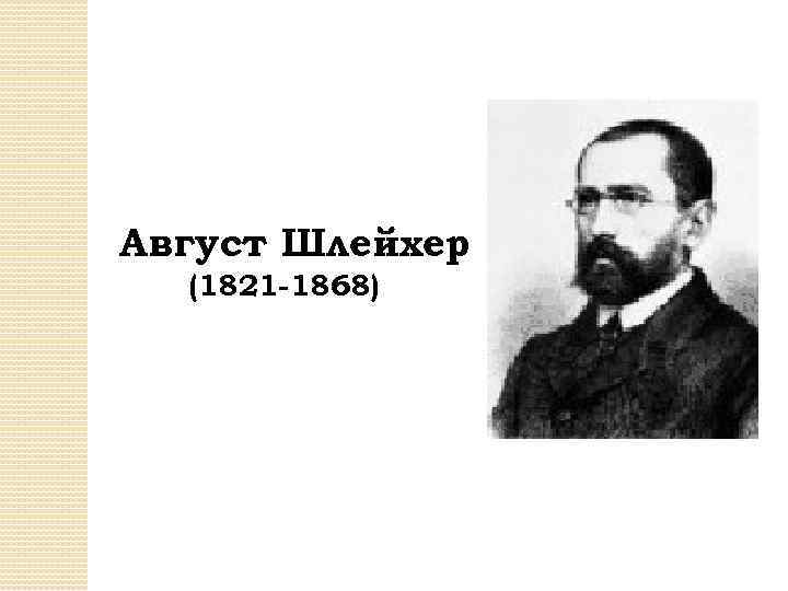 Август Шлейхер (1821 -1868) 