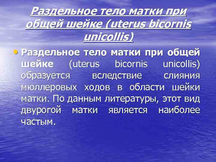Раздельное тело матки при общей шейке (uterus bicornis unicollis) • Раздельное тело матки при