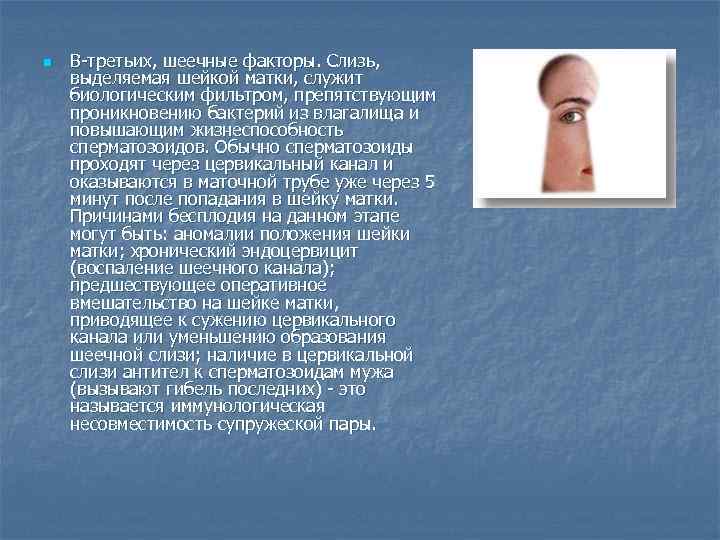 n В-третьих, шеечные факторы. Слизь, выделяемая шейкой матки, служит биологическим фильтром, препятствующим проникновению бактерий