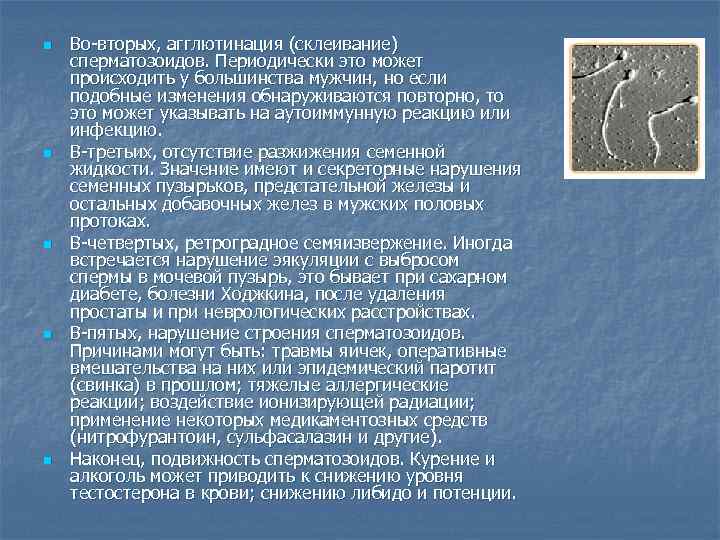 n n n Во-вторых, агглютинация (склеивание) сперматозоидов. Периодически это может происходить у большинства мужчин,