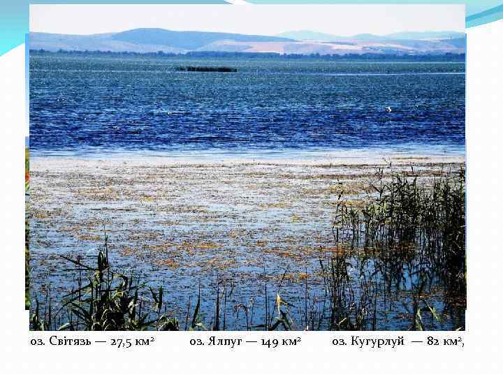 оз. Світязь — 27, 5 км 2 оз. Ялпуг — 149 км 2 оз.