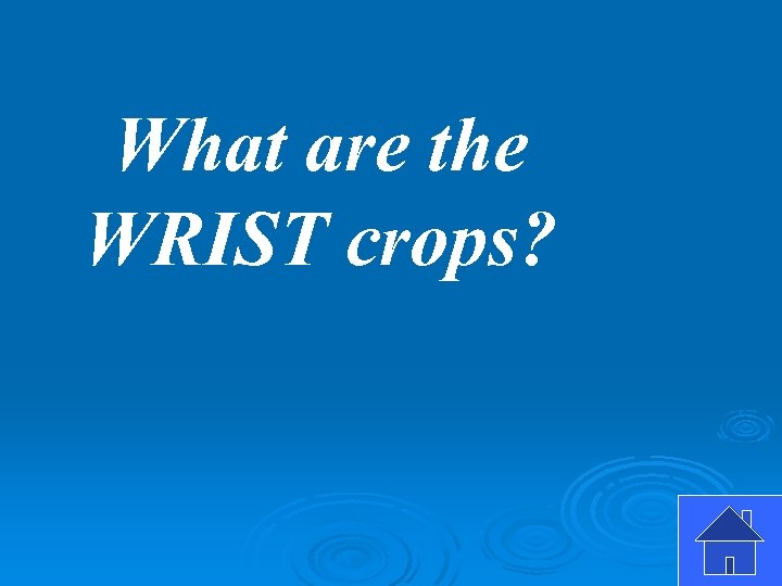 What are the WRIST crops? 