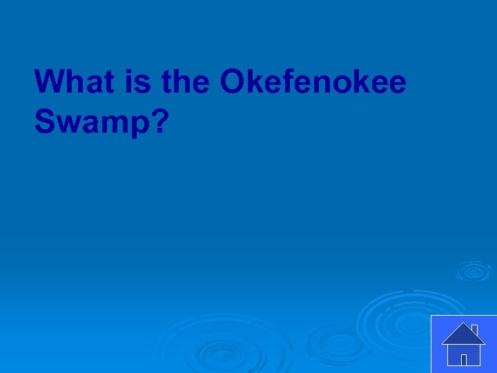 What is the Okefenokee Swamp? 
