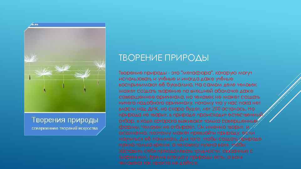 ТВОРЕНИЕ ПРИРОДЫ Творение природы - это 