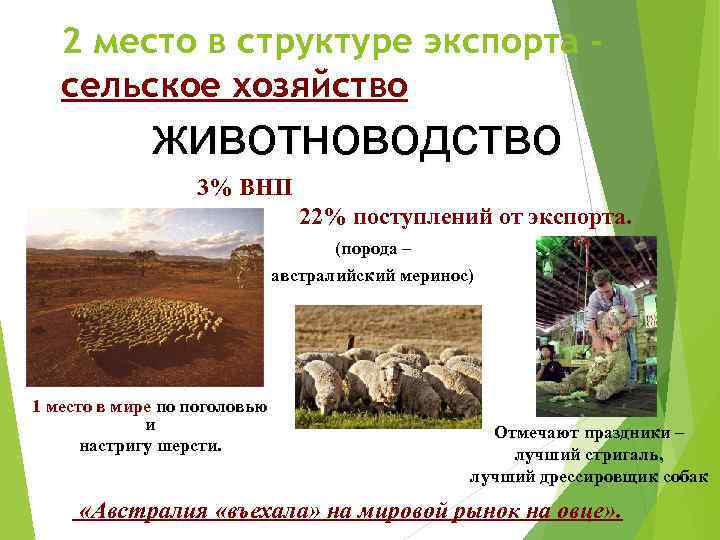 2 место в структуре экспорта сельское хозяйство животноводство 3% ВНП 22% поступлений от экспорта.