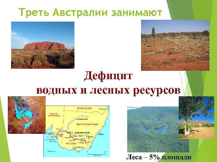 Треть Австралии занимают пустыни Дефицит водных и лесных ресурсов Леса – 5% площади 