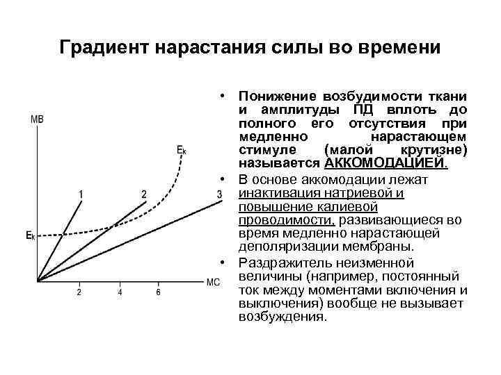 Градиент нарастания силы во времени • Понижение возбудимости ткани и амплитуды ПД вплоть до