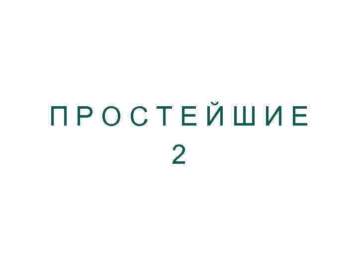 ПРОСТЕЙШИЕ 2 