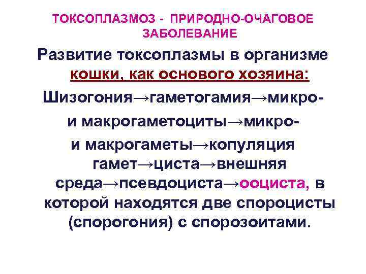 ТОКСОПЛАЗМОЗ - ПРИРОДНО-ОЧАГОВОЕ ЗАБОЛЕВАНИЕ Развитие токсоплазмы в организме кошки, как основого хозяина: Шизогония→гаметогамия→микрои макрогаметоциты→микрои