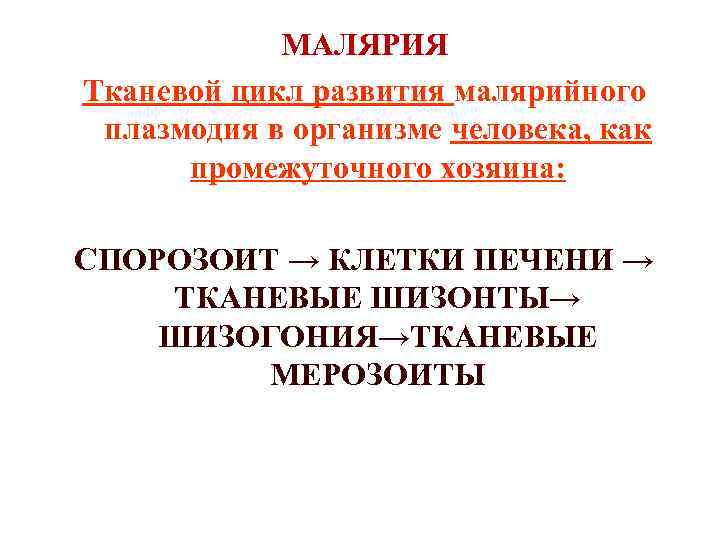 МАЛЯРИЯ Тканевой цикл развития малярийного плазмодия в организме человека, как промежуточного хозяина: СПОРОЗОИТ →