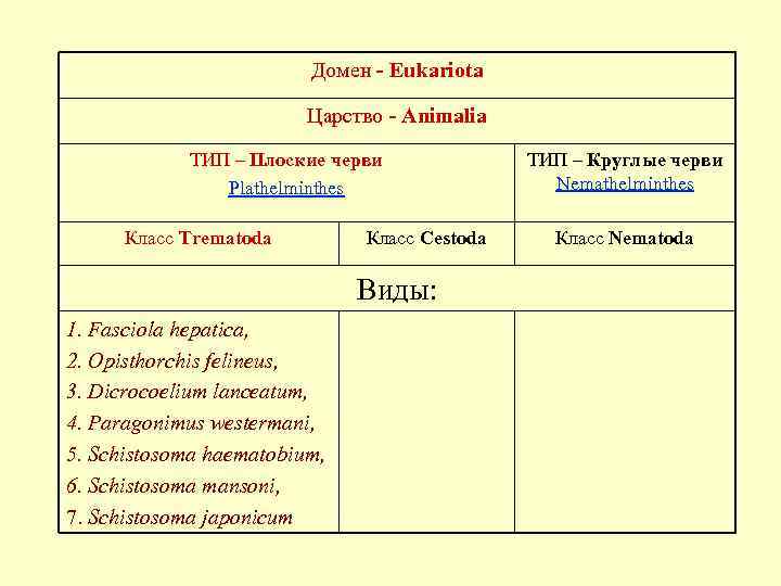 Домен - Eukariota Царство - Animalia ТИП – Плоские черви Plathelminthes Класс Trematoda Класс