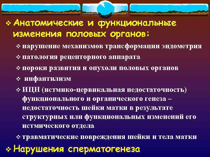 v Анатомические и функциональные изменения половых органов: v нарушение механизмов трансформации эндометрия v патология