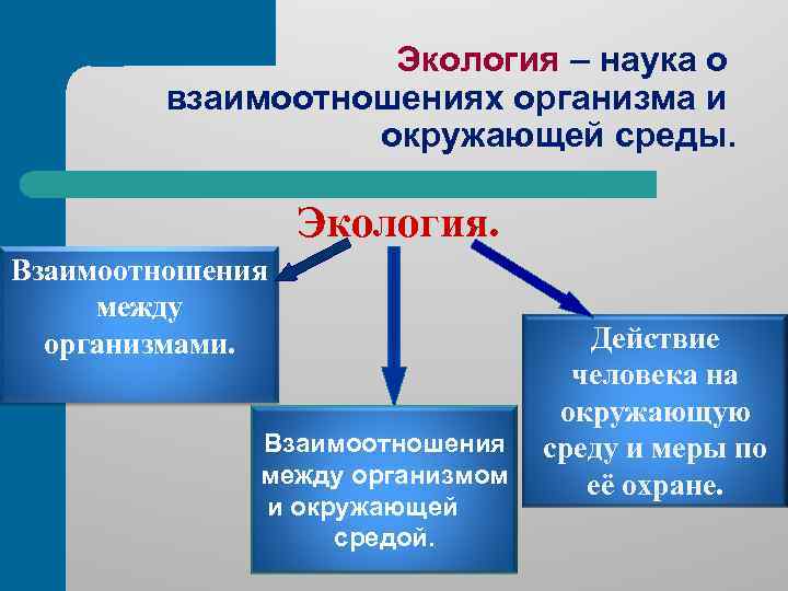 Экология – наука о взаимоотношениях организма и окружающей среды. Экология. Взаимоотношения между организмами. Взаимоотношения